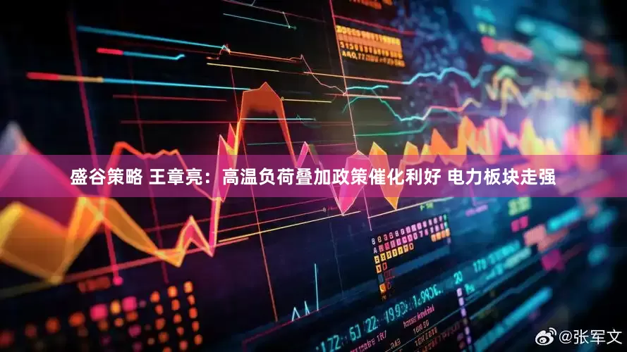盛谷策略 王章亮：高温负荷叠加政策催化利好 电力板块走强