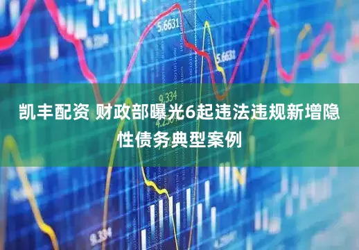 凯丰配资 财政部曝光6起违法违规新增隐性债务典型案例